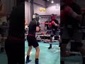 bokis taktika boxing taktika sparin