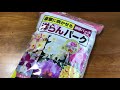 11月 水栽培の胡蝶蘭　花芽が上がって来ました　干してあった株をバークで植え付け