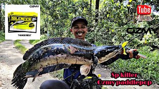 FIELD TEST : SP OZMY SILENCER PADDLEPOP || Sp killer Toman dan haruan #Ozmy #review #fishing #toman