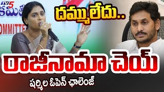 YS Sharmila Open Challenge to YS Jagan Mohan Reddy On Resign | Congress Vs YSRCP | AP Politics | TV5