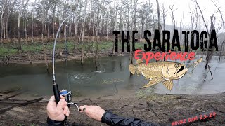 The Saratoga Experience - The Best Of Hinze Dam 23-24