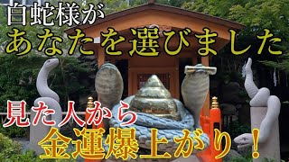 ◎超金運力⚠️白蛇様パワーで金運アップ！参拝順に願い叶います！【東京都品川区 蛇窪神社】【祭神：天照大御神 市杵島姫神】