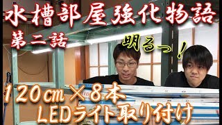 『LEDライト取り付けました』総額約２０万円！？水槽部屋強化企画 part２【大分グッピーFC】