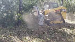 Cat 279D with Cimaf 180D Mulching Underbrush