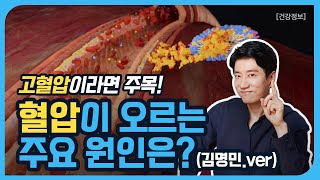 콜레스테롤 수치와 혈압이 높아지는 주요 원인은? (LDL, HDL에 주목하라)