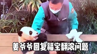 姜爷爷回应福宝翻滚问题，翻滚是熊猫表达情绪的正常反应，但是反复翻滚会引起刻板行为！【黄总的动物视野】