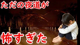 ただ夜道を一人で歩くゲームが怖すぎた【a long walk home】