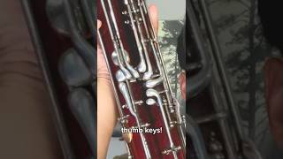 the bassoon has 9 THUMB KEYS?! 😱