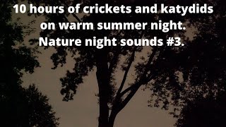 Katydids and Crickets Sounds at night Crickets nature night sounds to sleep study relax nature video