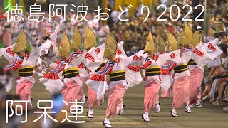 本場徳島阿波おどり・阿呆連_南内町演舞場_20220812 Awaodori in Tokushima Japan