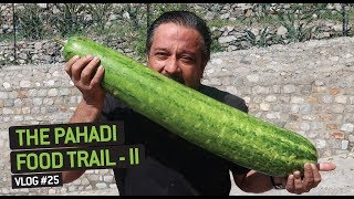 Uttarakhand Pahadi Food Trail - II  |  Giant Organic Vegetables in the Himalayas