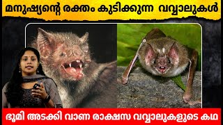 ഭൂമിയെ അടക്കി വാണ ഭീമൻ വവ്വാലുകൾ | Unveiling the Giant Bats