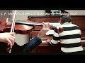 바이올린 초보자들을 위한 쉽지만 아름다운 곡 2탄 easy violin pieces for beginners part2