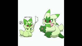 sprigatito playing with floragato.#pokemonmemes #pokemonshorts.