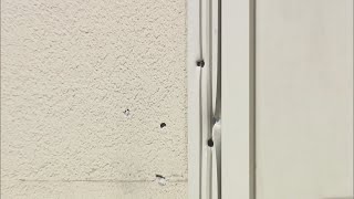 宗教団体建物に“銃で撃たれたような複数の痕”男「試し撃ちした」安倍元総理銃撃事件（2022年7月11日）