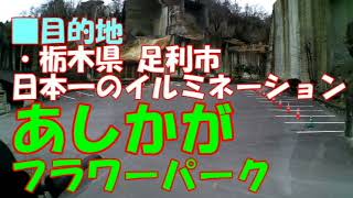 バス車窓 幻想的な場所「大谷資料館」から、日本一のイルミネーション「あしかがフラワーパーク」までの最短ルートです！