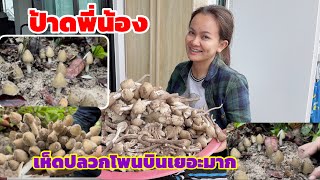 ป้าดพี่น้องเห็ดปลวกยักษ์..โพนบินหมานสุดๆ‼️