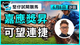 【堅仔試閘靚馬】(6月8日 田草)  嘉應獎昇 可望連捷｜賽馬貼士​​​​​​​｜賽馬賠率​​​​​​​​​​​​​​​​​​​｜沙田賽事