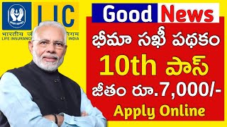 lic bima sakhi yojana apply online | bima sakhi yojana scheme