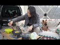 5℃ solo camping in a snowy mountain with strong winds a new wood stove and my dog camping v log