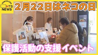 ２月２２日はネコの日　江別で保護活動を支援するイベント開催