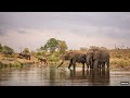 LIVE at the waterhole - 02 July 2025