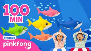 Chansons Baby Shark en français | +Comptines | Pinkfong Chansons pour Enfants