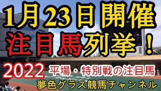 【注目馬列挙・平場予想】2022年1月23日JRA平場特別戦！馬場を見て巻き返していきたい！楽しい穴馬も探して行きたい