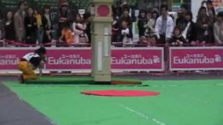 スーパードッグカーニバル2009　ハイスピード決勝　小白