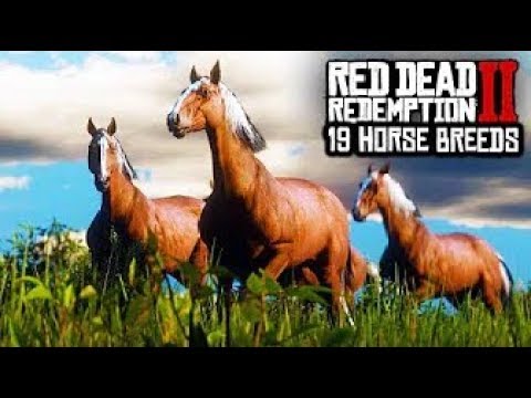 Red Dead Redemption 2 Horse Guide: Details On All 19 Horse Breeds In ...