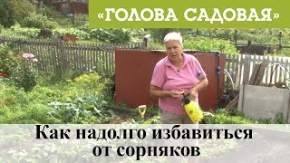 Голова садовая - Как надолго избавиться от сорняков