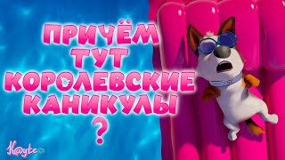 ПРИЧЁМ ТУТ КАНИКУЛЫ В \