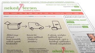 Neked Terem: egy jó ötlet, amiből kitartással nyereséges üzlet épül