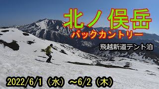 【北ノ俣岳バックカントリー】雪がない！と思いきや黒部側は極上ザラメのナイス斜面♪