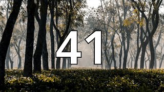 41 Second Countdown Timer With Alarm Sound At the End (Simple Beep)
