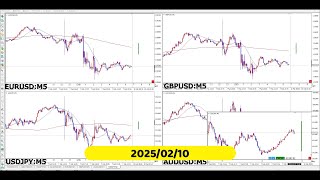 【RCCで振り返る】2025年02月10日対米ドルの4通貨ペア