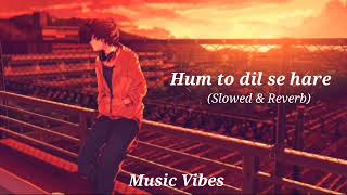 Haare Haare song || Hum to dill se haare (Slowed & Reverb) || By Music Vibes