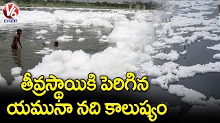 తీవ్రస్థాయికి పెరిగిన యమునా నది కాలుష్యం.. Increase Of Pollution In Yamuna River | Delhi | V6 News