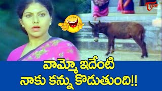 వామ్మో ఇదేంటి నాకు కన్ను కొడుతుంది | Y Vijaya Donkey Comedy | TeluguOne Comedy