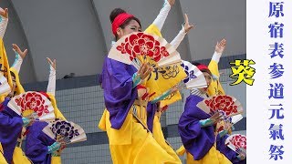 葵 原宿表参道元氣祭スーパーよさこい2017