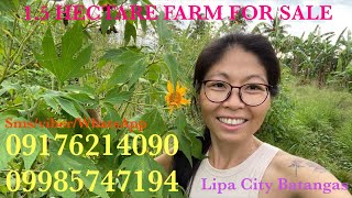 Vlog523: 1.5 HECTARE FARM WITH MOUNTAIN VIEW IN LIPA CITY TOWN PROPER FOR SALE