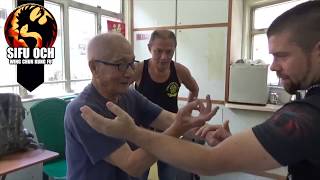 Quick Wing Chun Clips #2 | Lakeland Florida | Ving Tsun | Kung Fu | Self Defense | WST