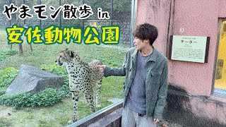 やまモン散歩 in 安佐動物公園