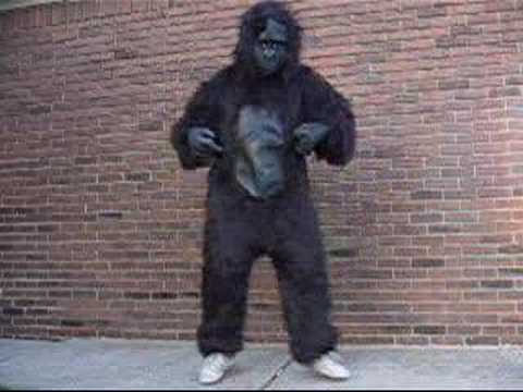 Dancing Gorilla Youtube