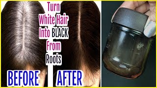 White Hair Solution Oil Turn White Hair To Black Hair Gold