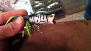 Heddon Hula Popper Bass Fishing Lure Product Review ... Amazing Topwater Bass Fishing Lure!