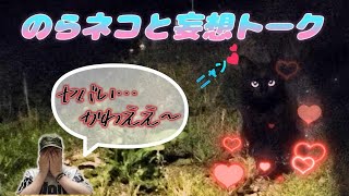 Aso Ancient Forest ⛺ Solo Camping (Part 2)  Healed by a bonfire and stray cats