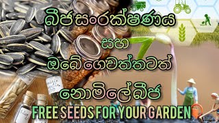 Seed conservation and free seeds.බීජ සංරක්ෂණය සහ ගෙවතු වගාවට අවශ්‍ය බීජ නොමිලේ ලබාගමු.