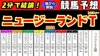 ニュージーランドトロフィー2024レース競馬予想！意外と時計が出る今の中山芝コースでスピード上位の馬はどの馬か？