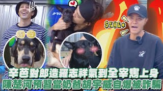 【TOP DOG回家】獨家幕後│差很大! 辛芭對郎造羅志祥氣到全宰寯上身 陳楚河預習當奶爸超甜...胡宇威自爆被詐騙?!